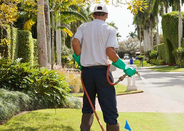 About New Blaine AR Pest Control Pros